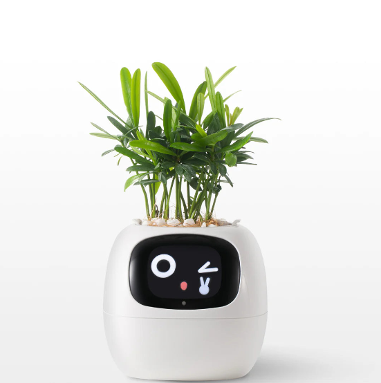 Ivy Smart Plant Pot