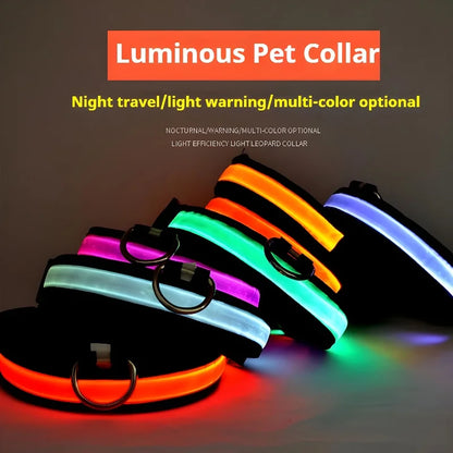 LED Night Glow Safety Dog Collar