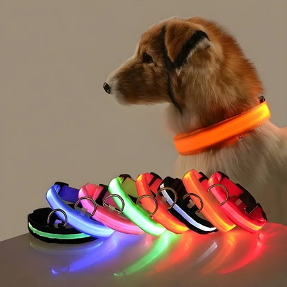 LED Night Glow Safety Dog Collar